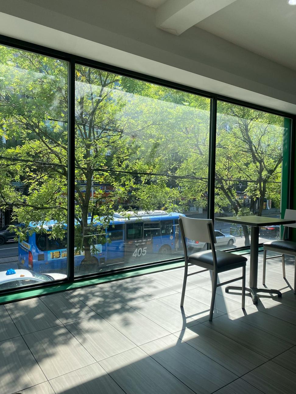 Interior forest views
