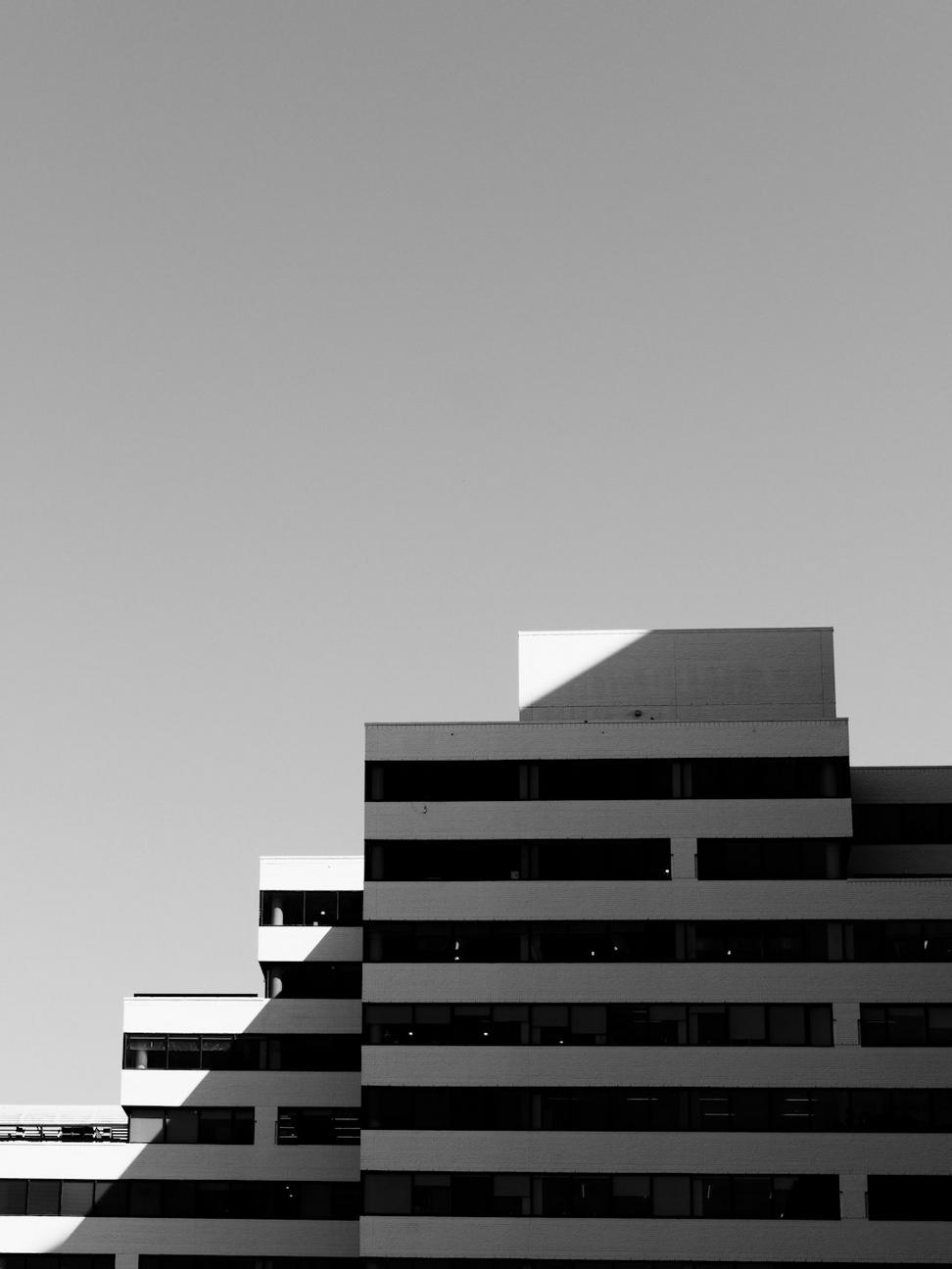 Mid-Century Renovation