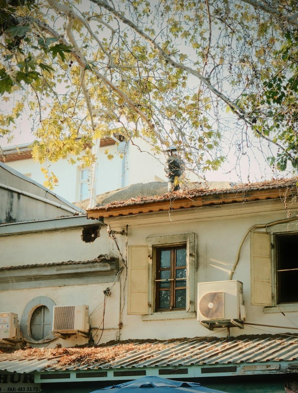 Before renovation
