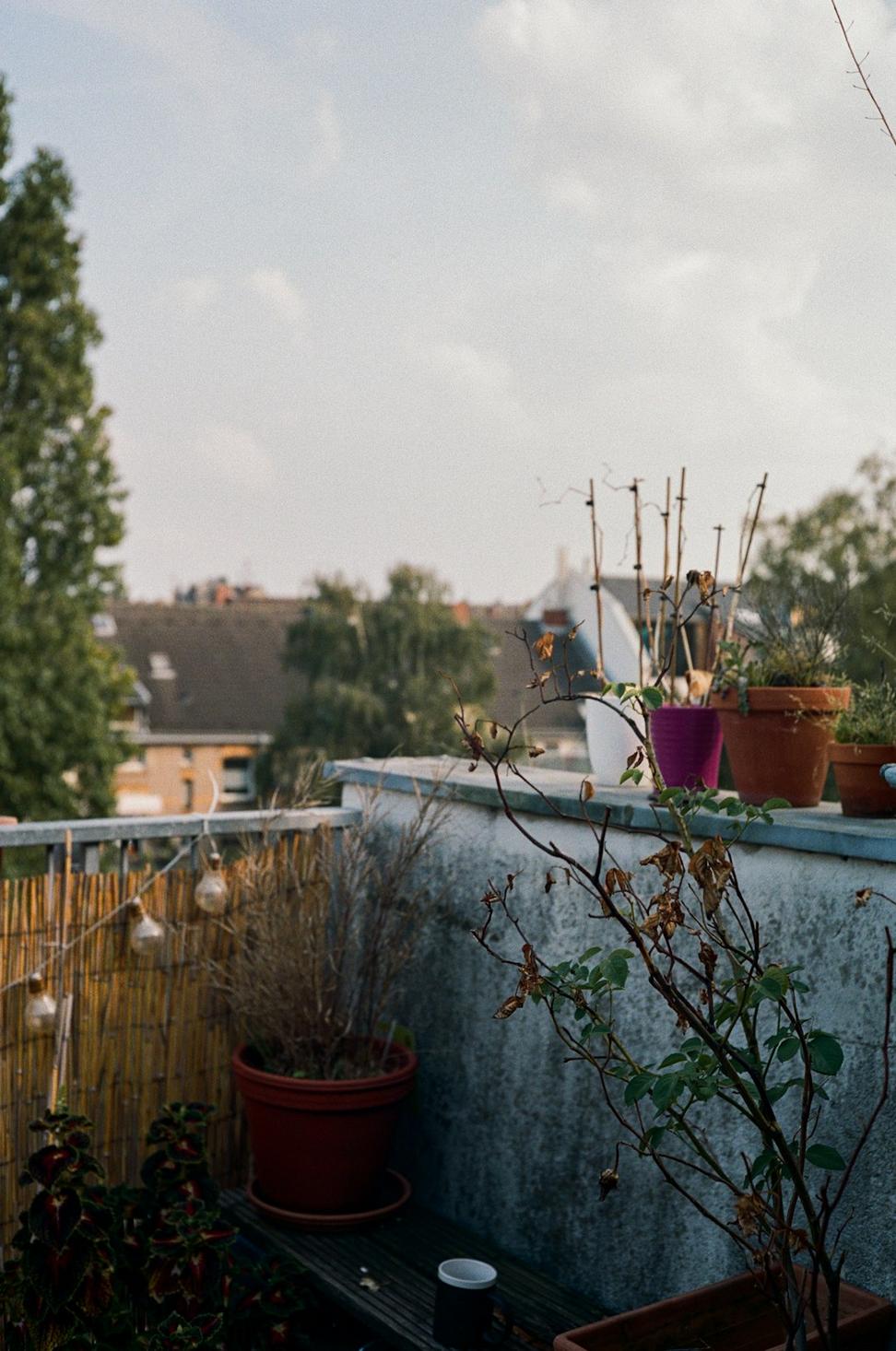 Rooftop deck
