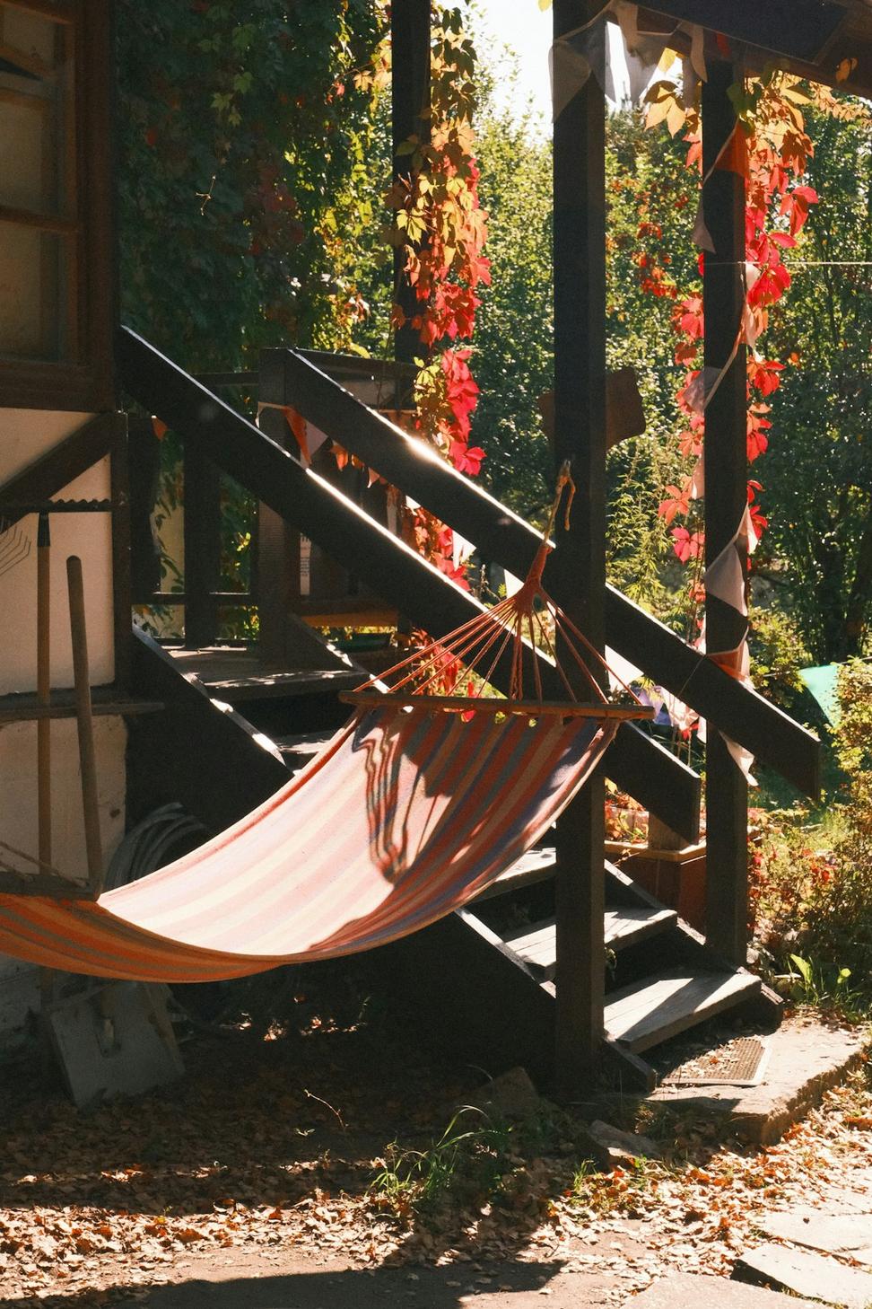 Urban Backyard Transformation